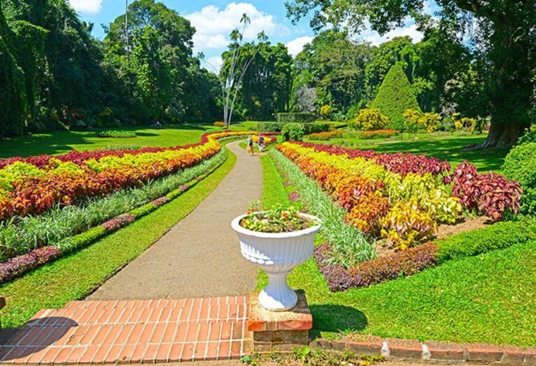 Best Sri Lanka Travel Blog | Private Driver & Car Hire 2026