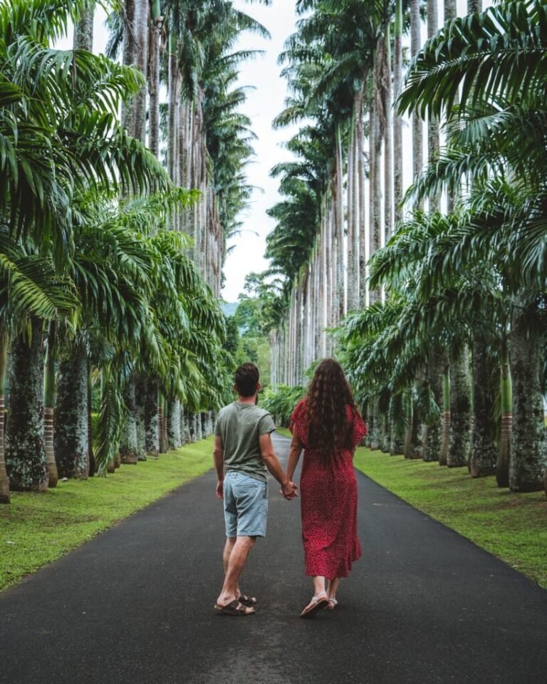 Best Sri Lanka Travel Blog | Private Driver & Car Hire 2026