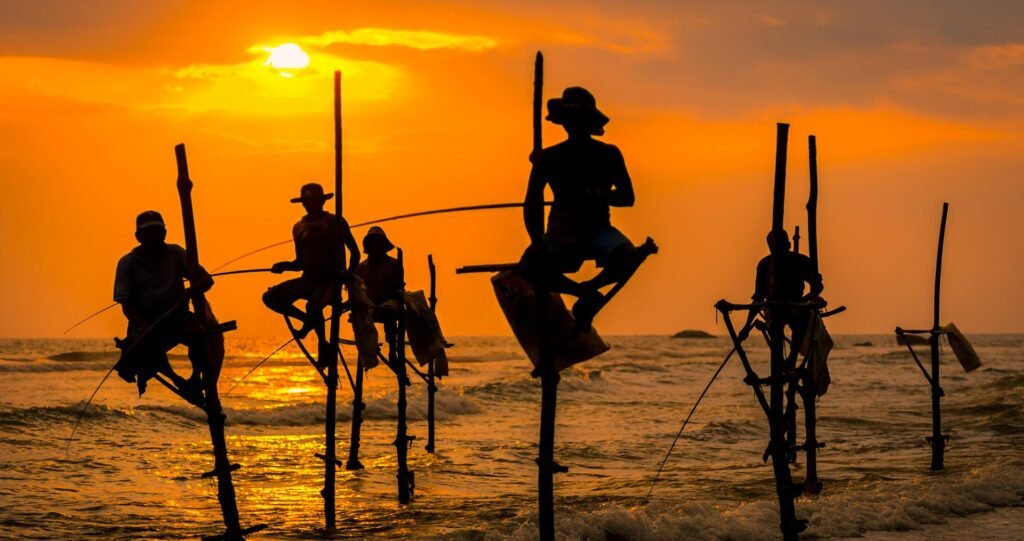 Best Sri Lanka Travel Blog | Private Driver & Car Hire 2026
