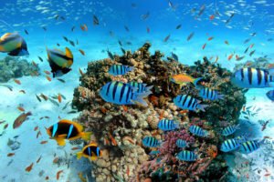 Best Sri Lanka Travel Blog | Private Driver & Car Hire 2026