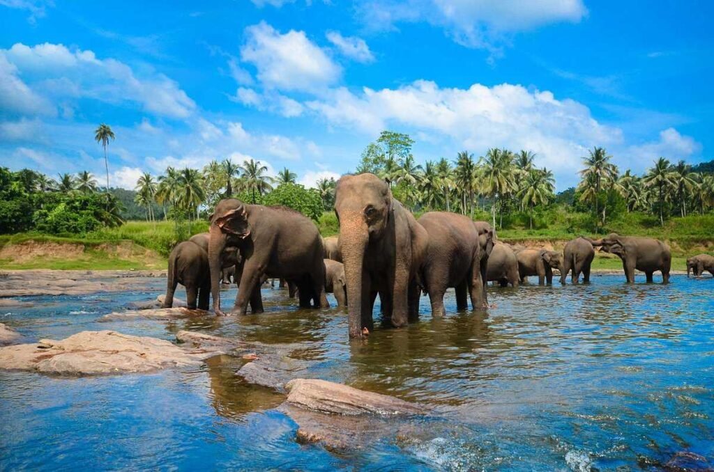 Best Time to Visit Sri Lanka in 2026