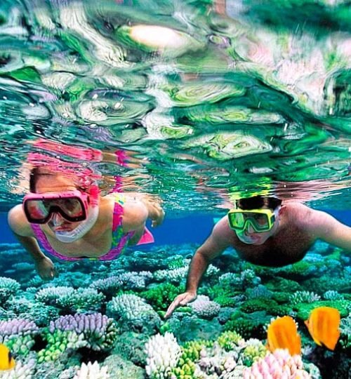 Best Sri Lanka Travel Blog | Private Driver & Car Hire 2026