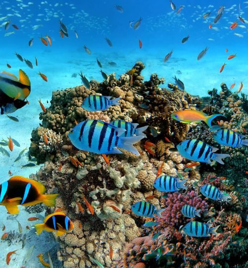 Best Sri Lanka Travel Blog | Private Driver & Car Hire 2026